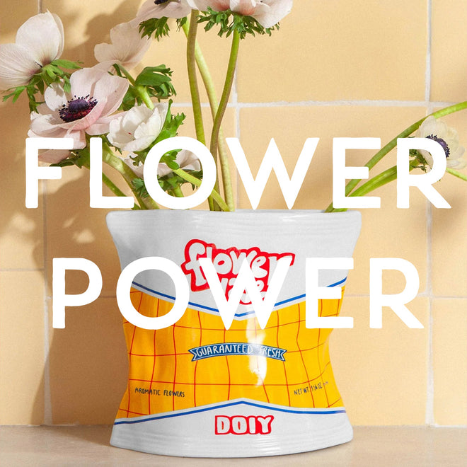 Vases &amp; Dried Flowers