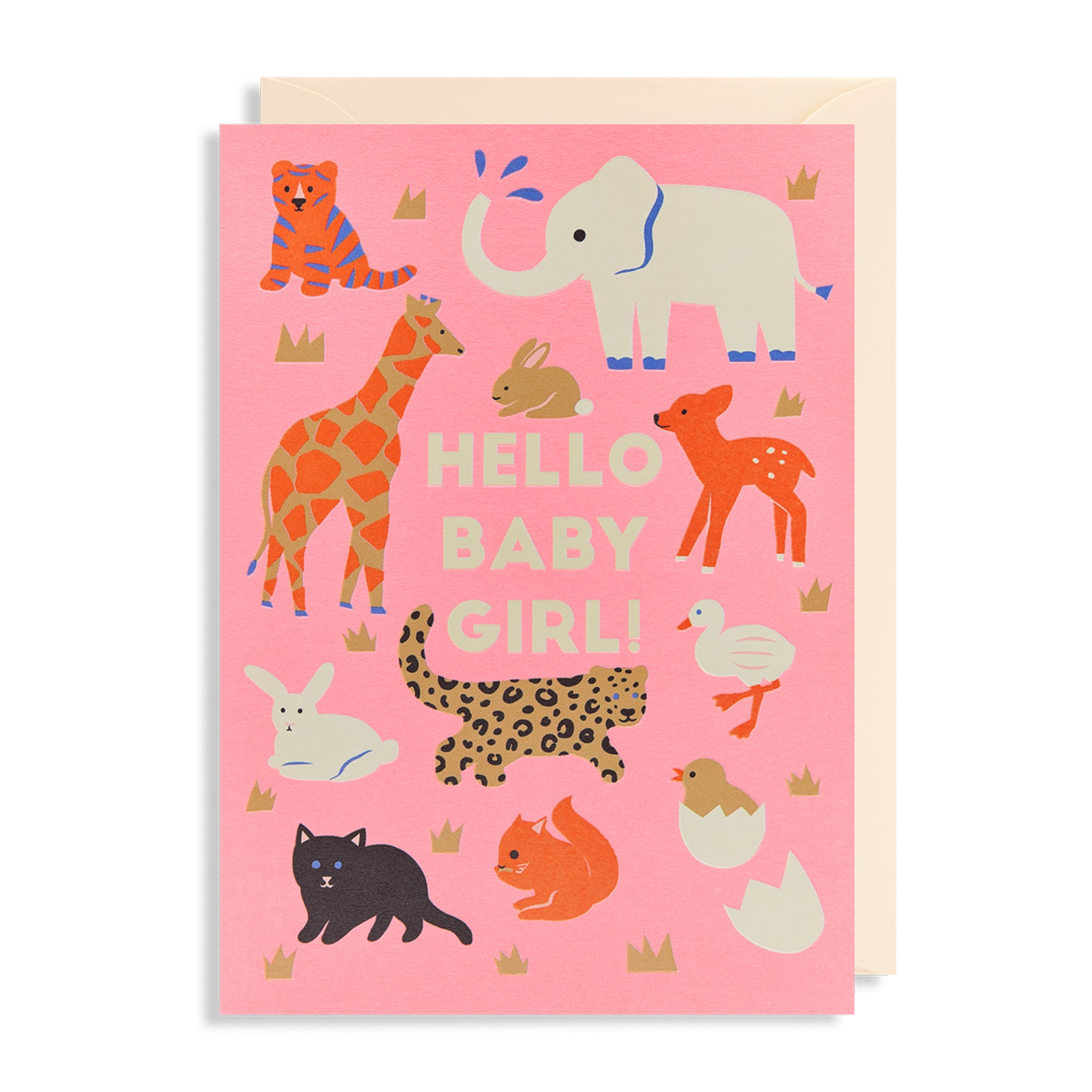 Hello Baby Girl! - Card - Five And Dime