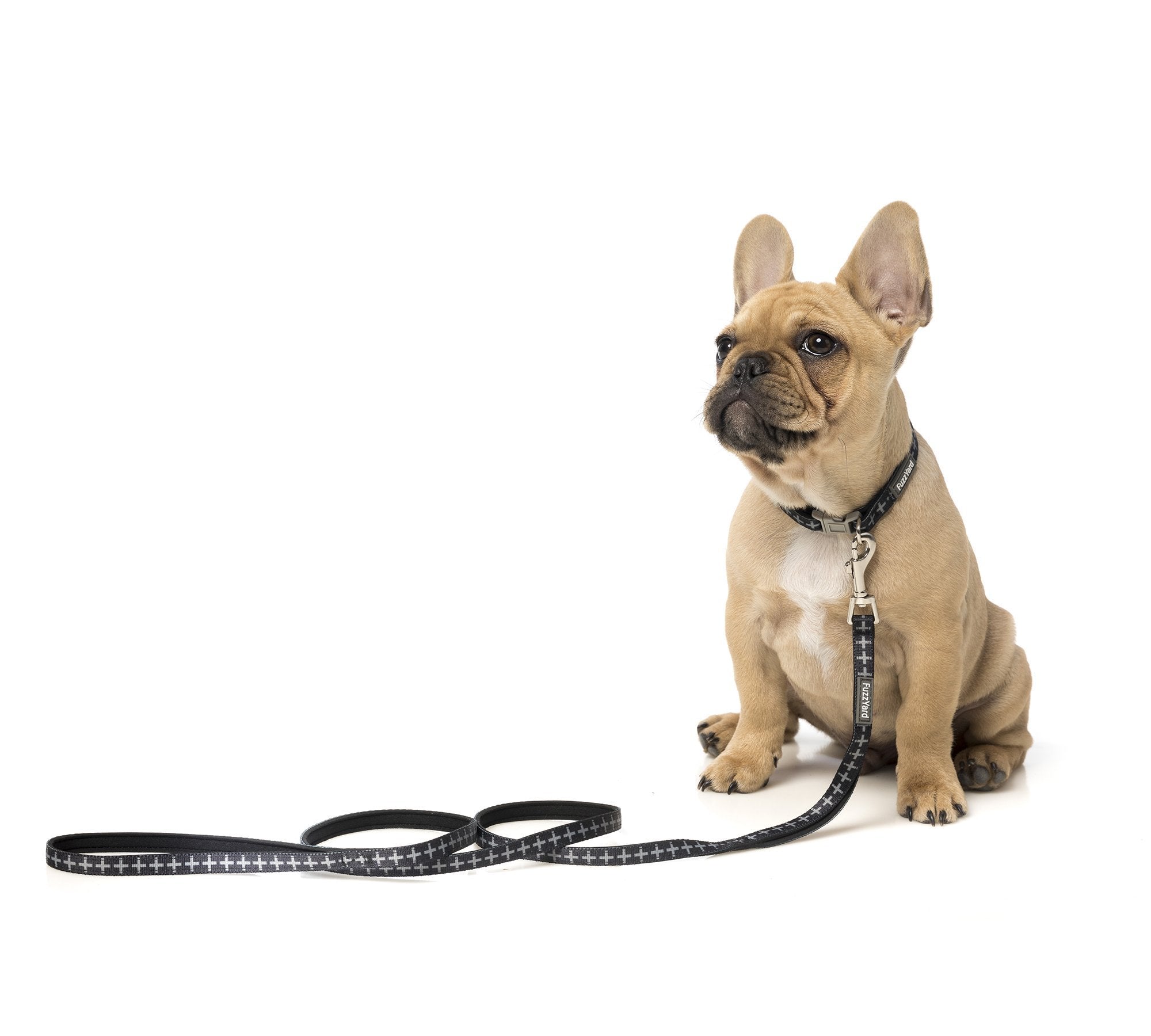 Yeezy Dog Lead Puppy Five And Dime