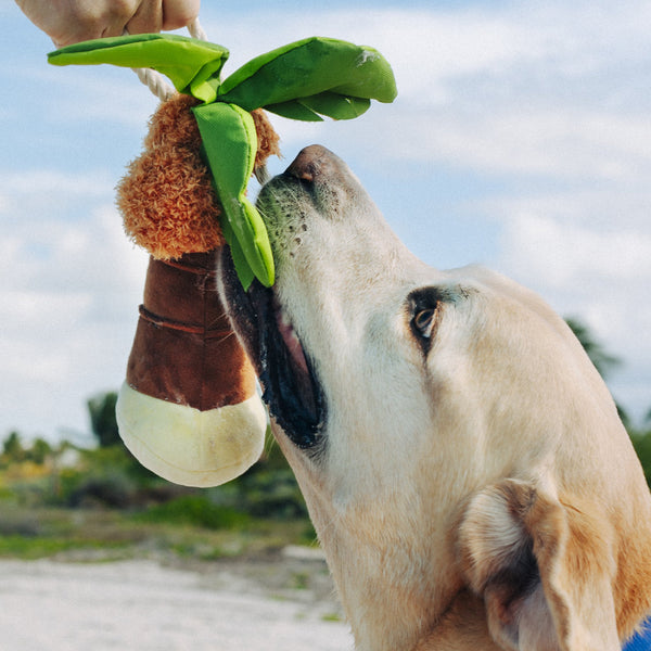 Tropical Palm - Plush Dog Toy