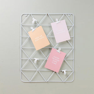 White Wire Wall Grid (With Clips)